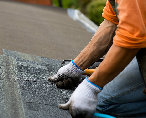 Best Roof Maintenance Services  in Elroy, NC